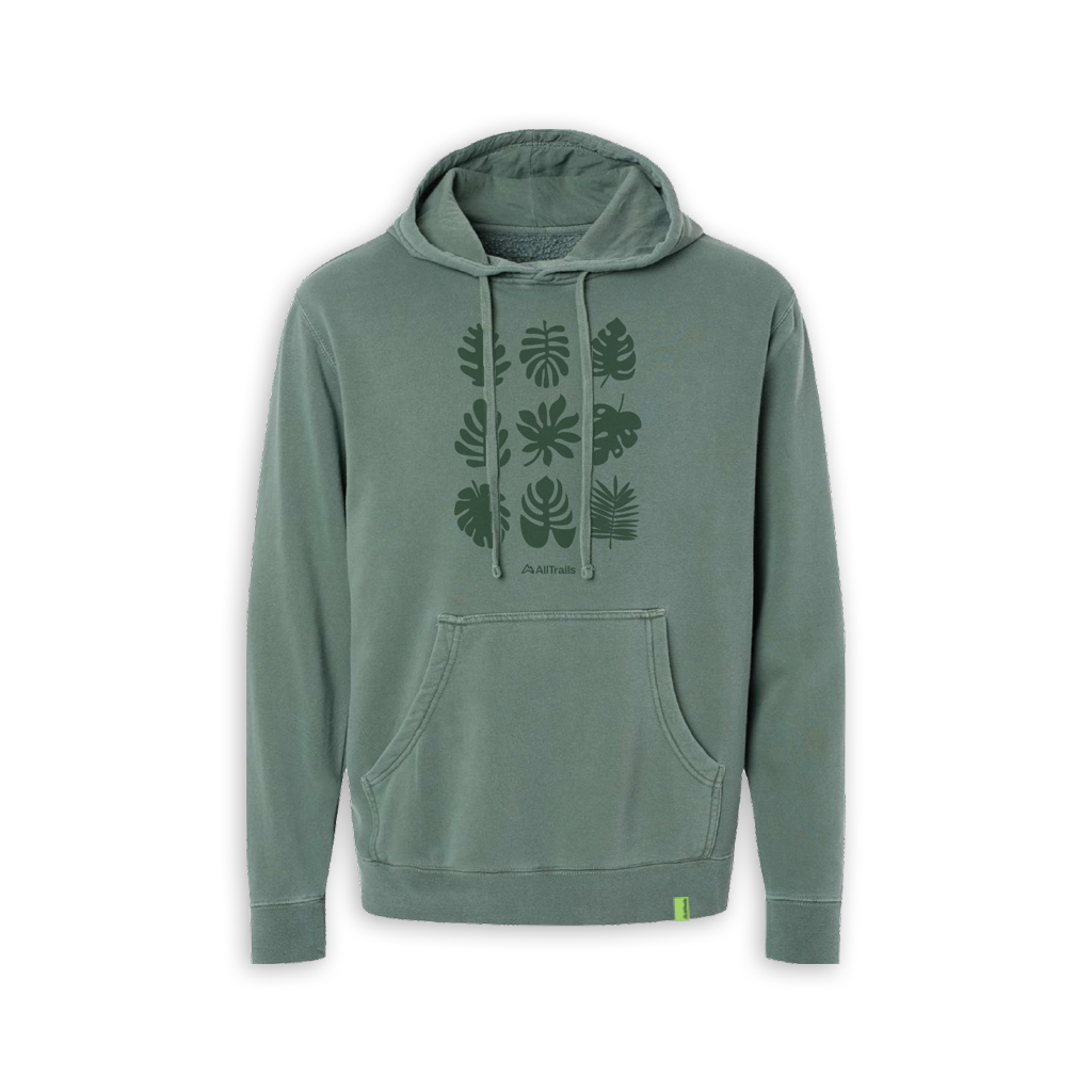 Foliage Comfort Wash Hoodie Pine