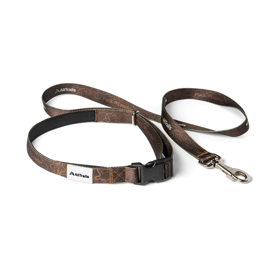 leash leader