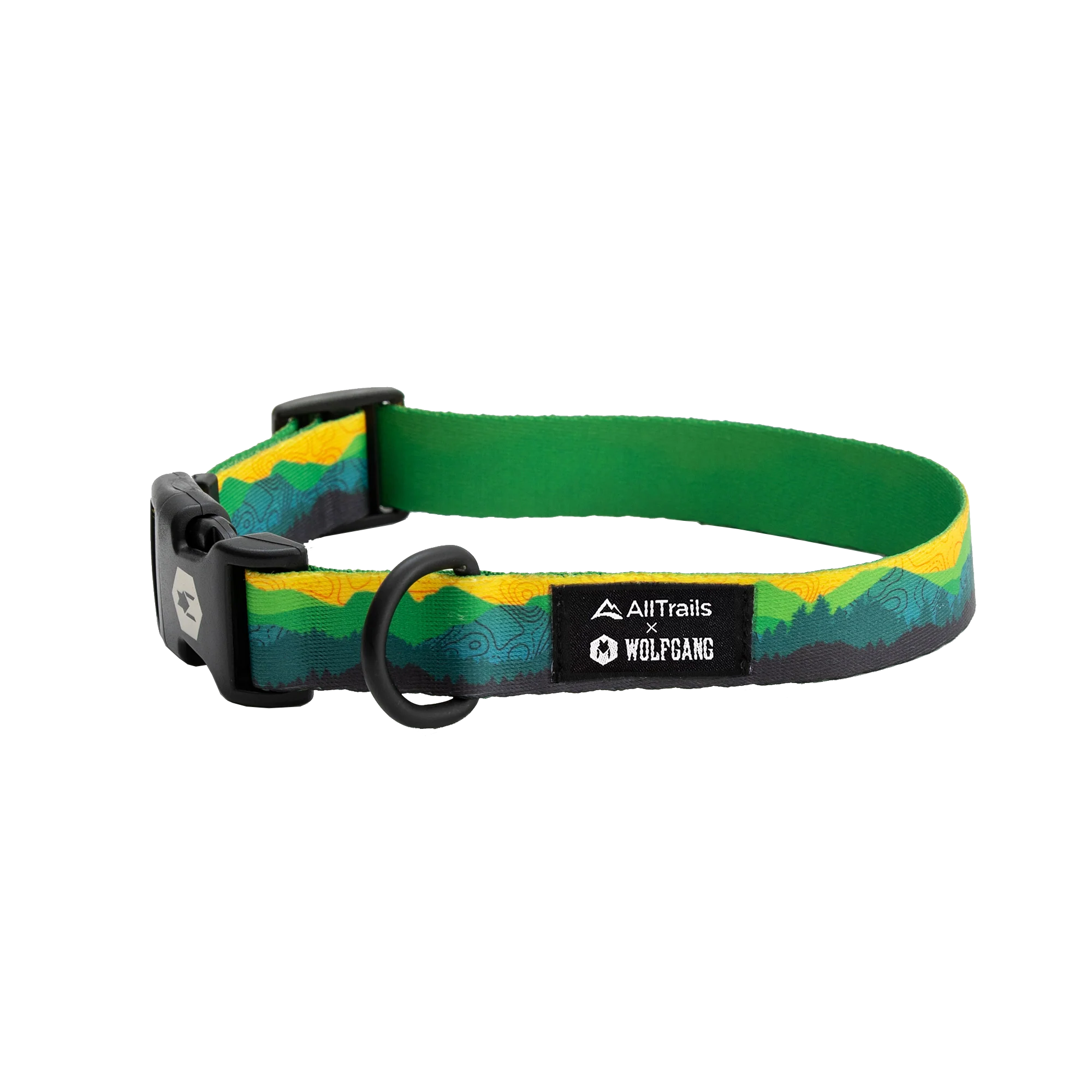 Dog best sale collars shop